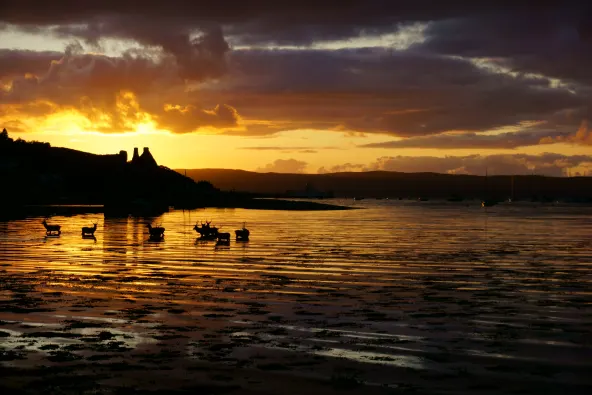 Lochranza Castle