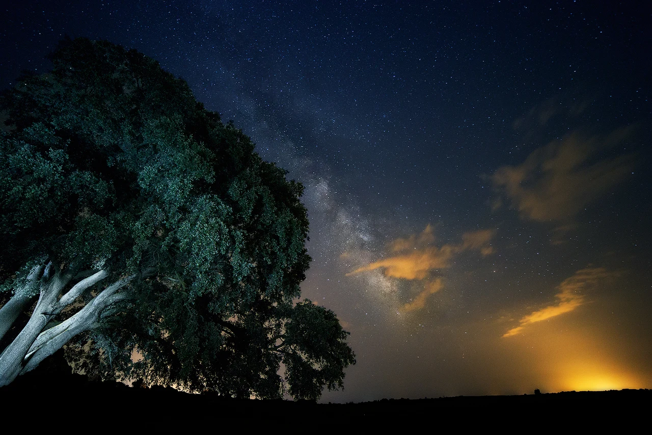 Noche de verano