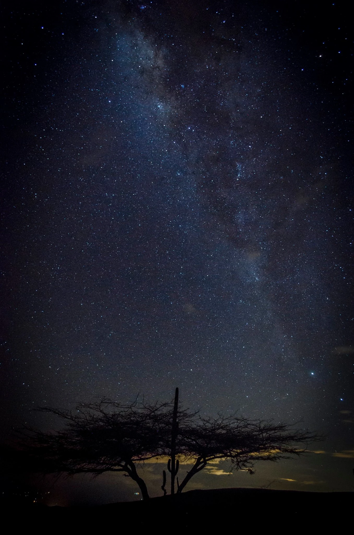 NACIMOS MIRANDO AL CIELO