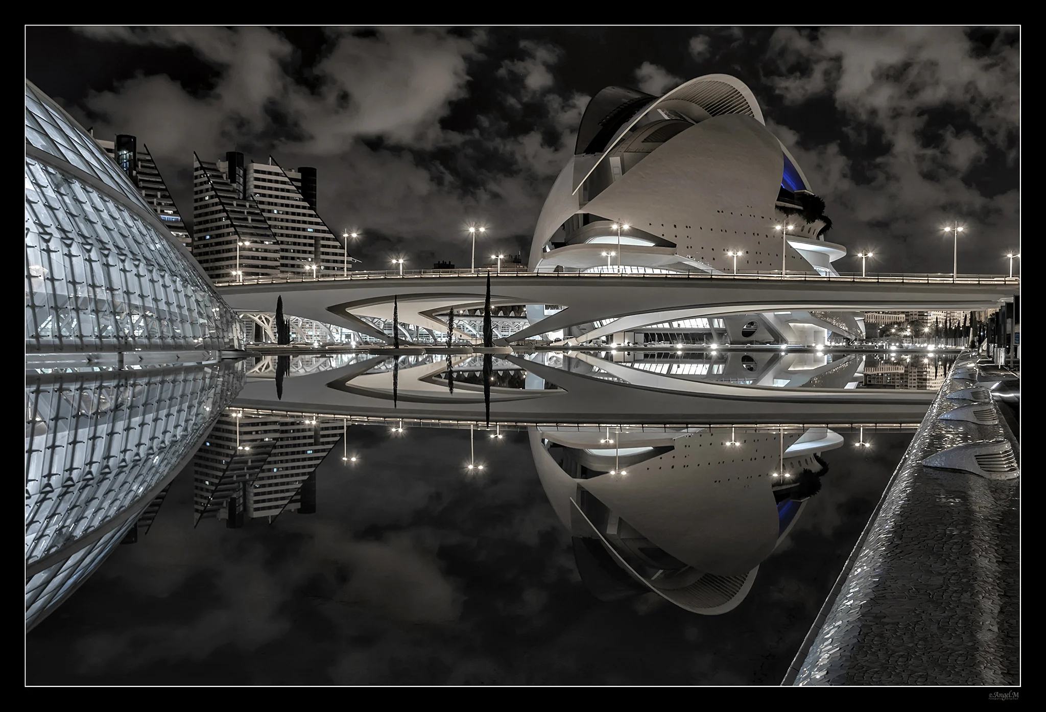 Ciudad de las Artes y las Ciencias(Reflejos)