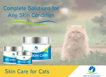 Complete Solution Cats graphic