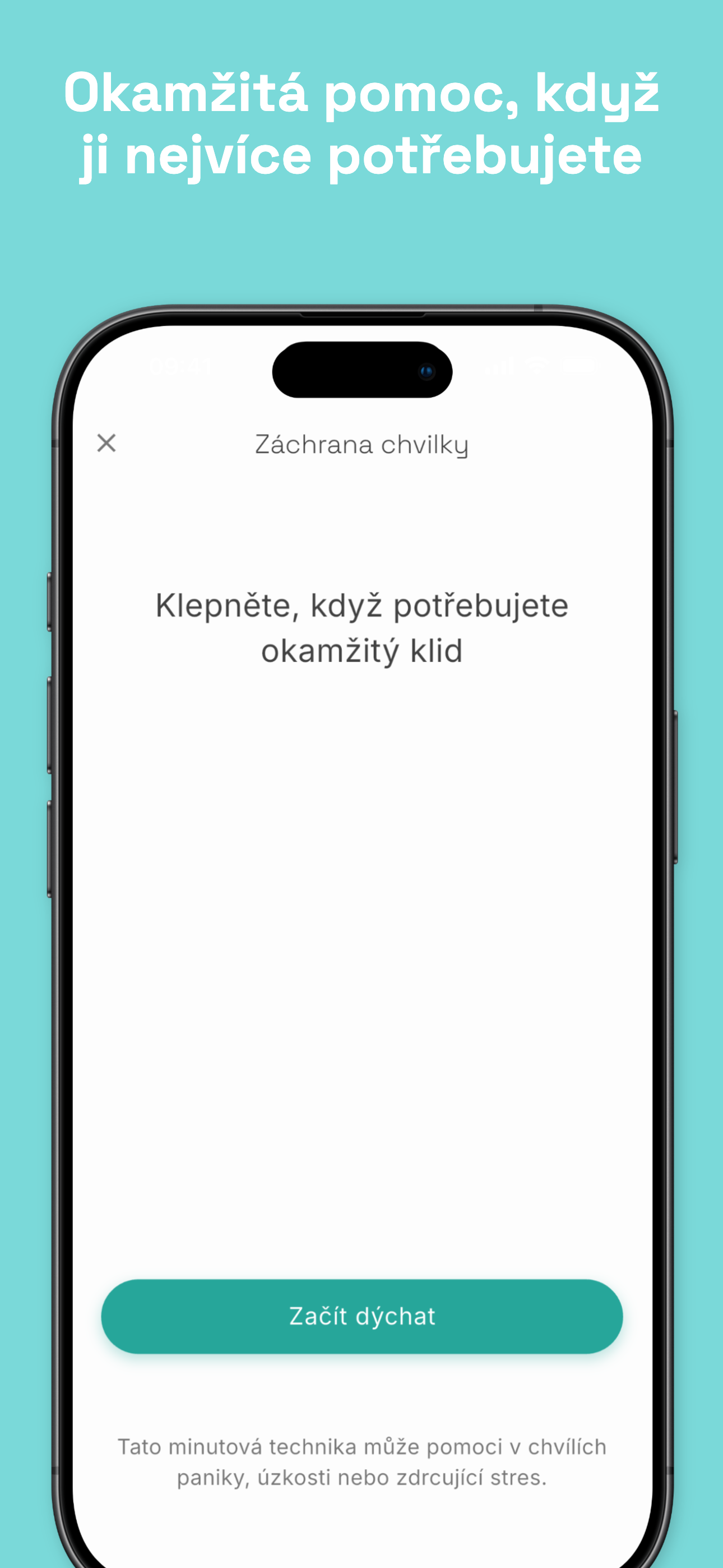 Stealth mode disguised as phone call screen