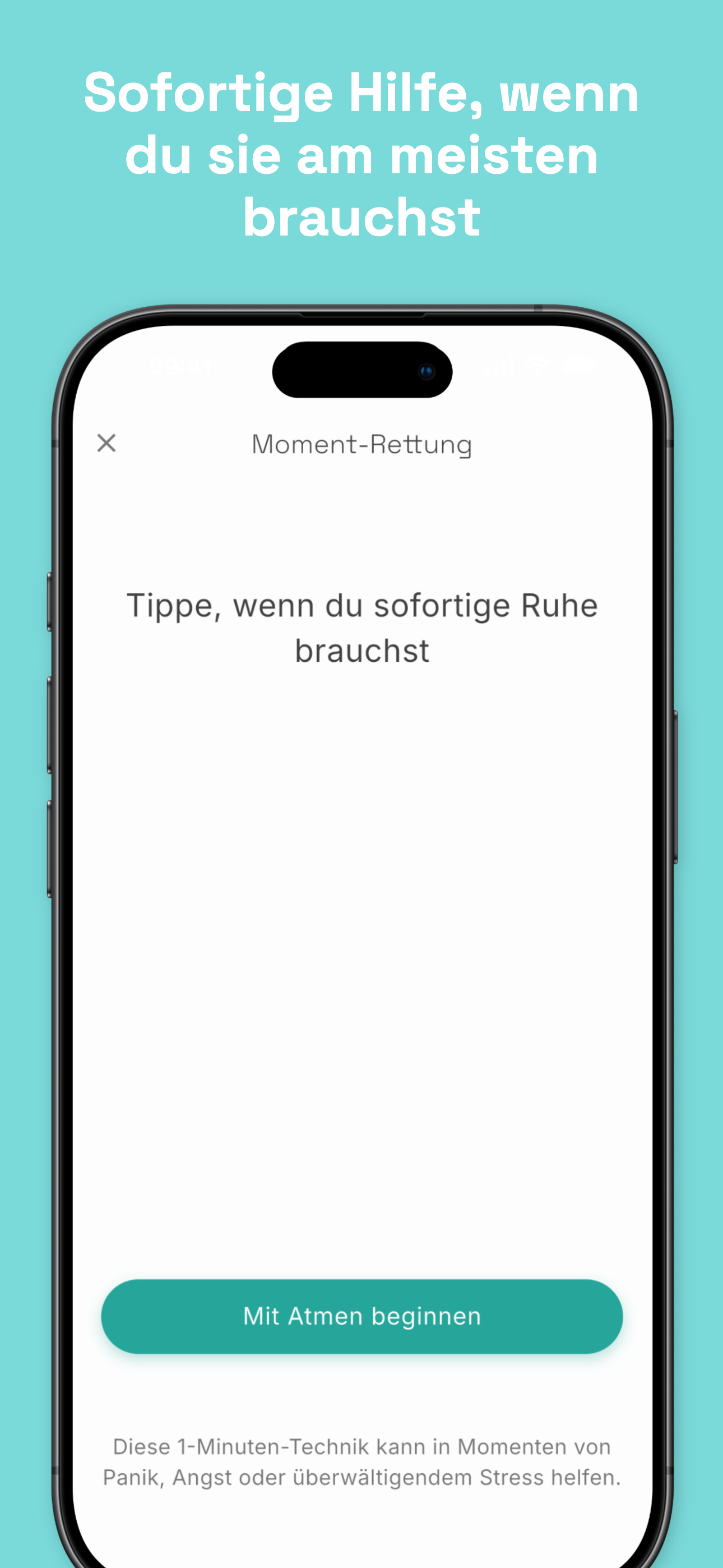 Stealth mode disguised as phone call screen