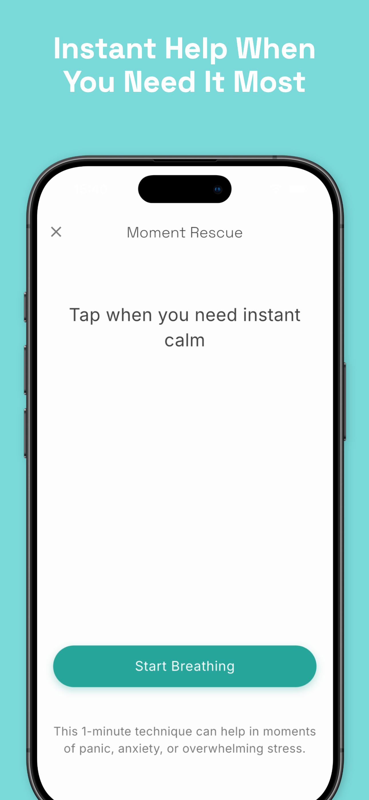 Stealth mode disguised as phone call screen