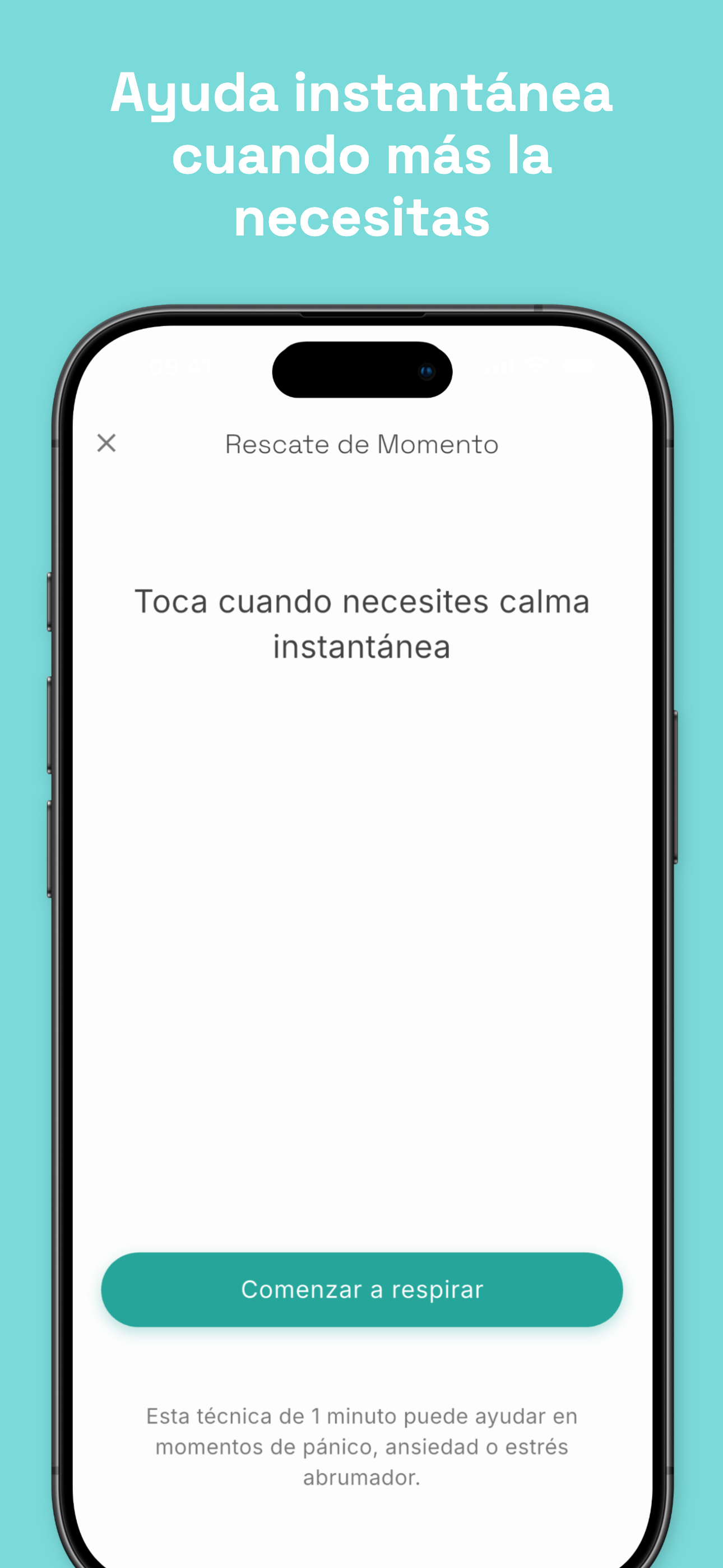 Stealth mode disguised as phone call screen