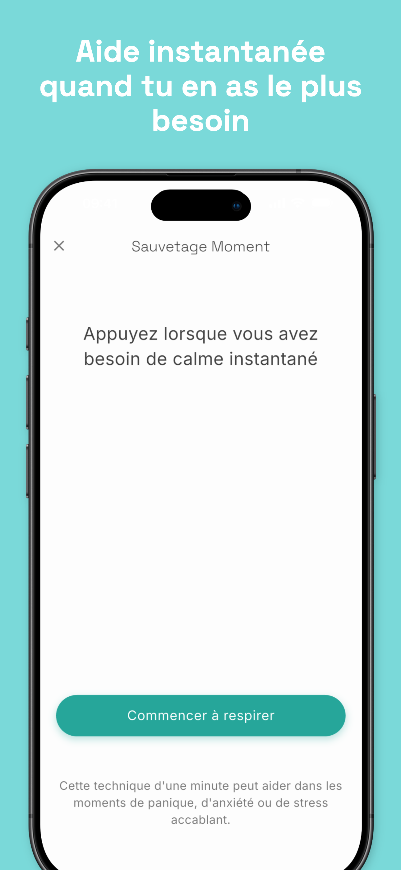 Stealth mode disguised as phone call screen