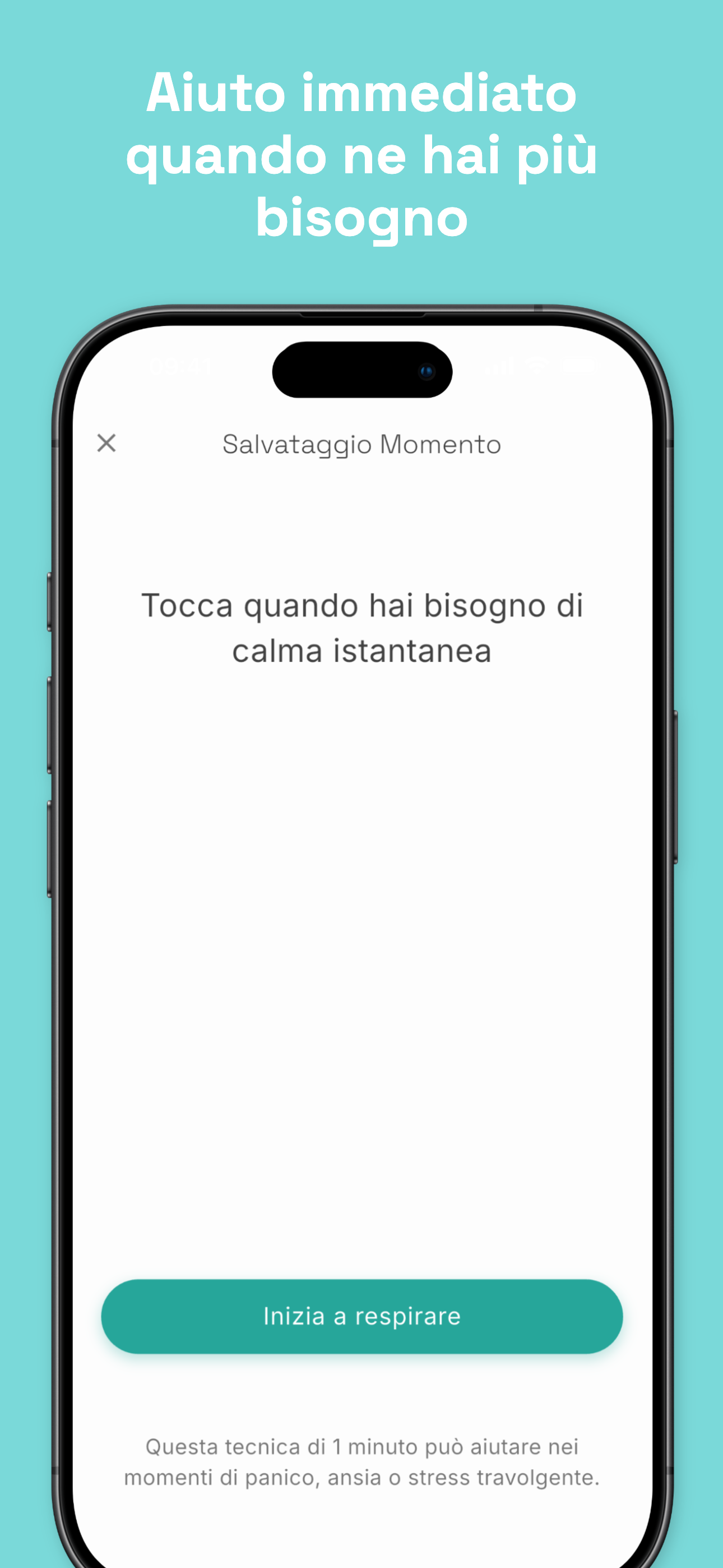 Stealth mode disguised as phone call screen