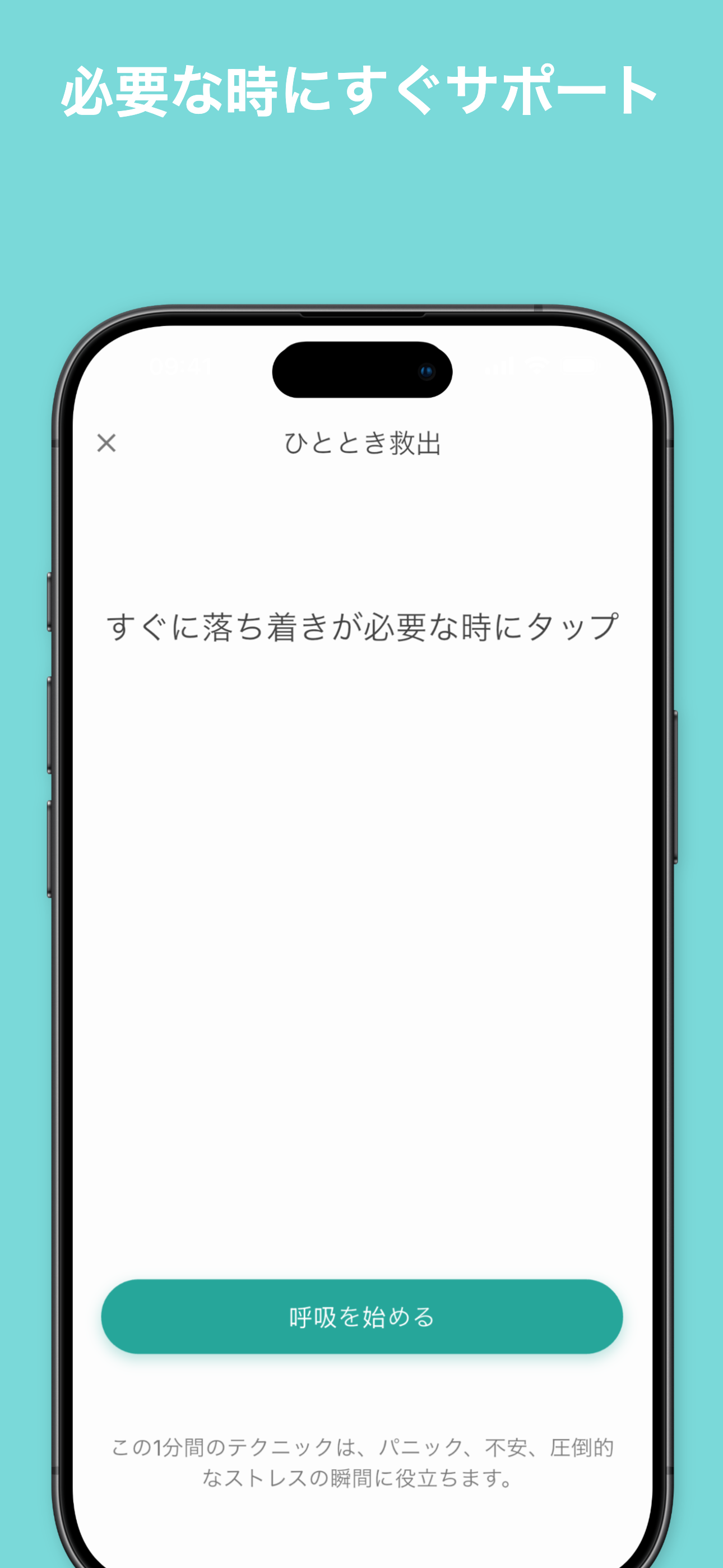 Stealth mode disguised as phone call screen