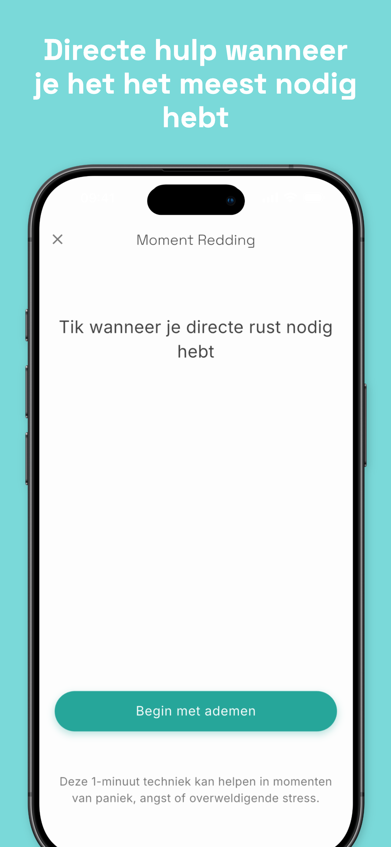 Stealth mode disguised as phone call screen