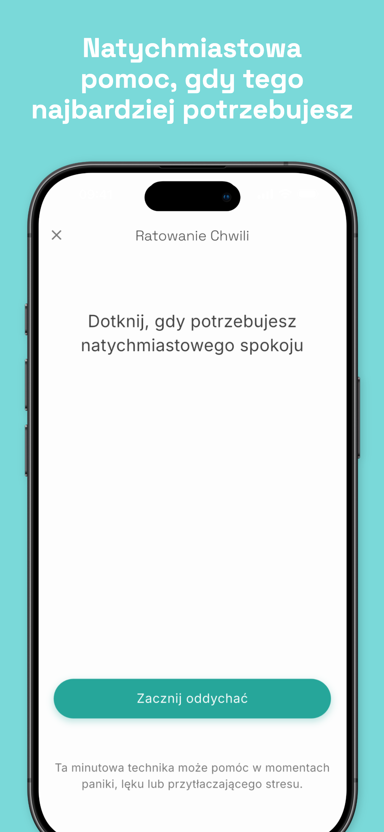 Stealth mode disguised as phone call screen