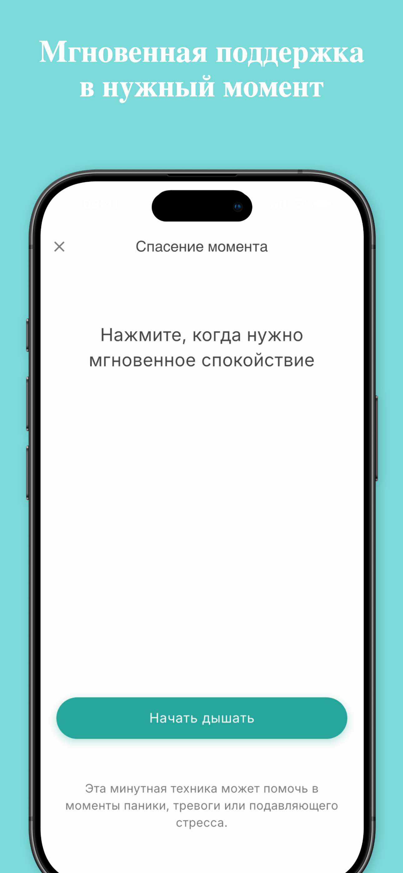 Stealth mode disguised as phone call screen