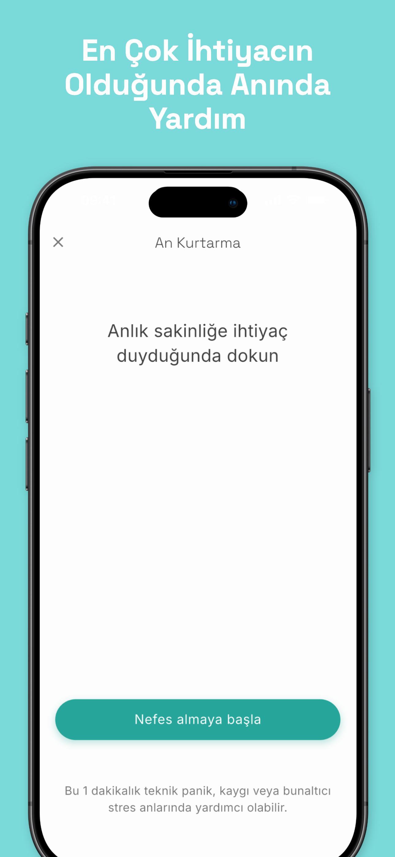 Stealth mode disguised as phone call screen