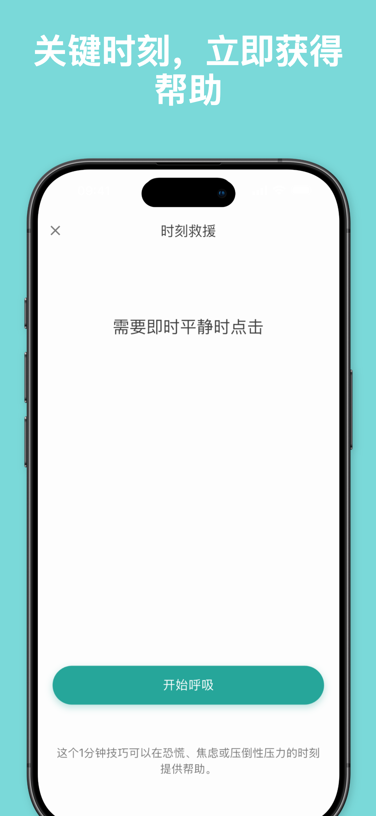 Stealth mode disguised as phone call screen