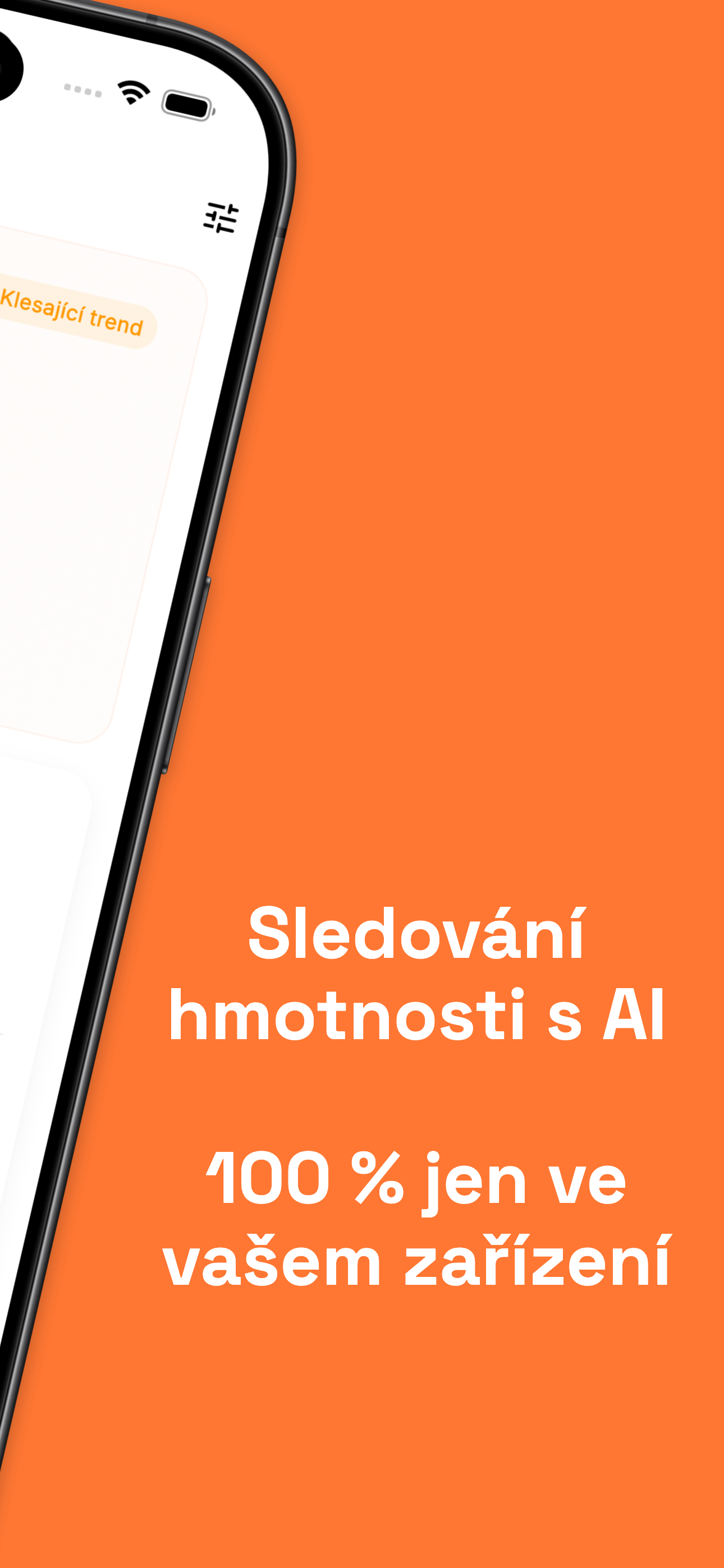 Body measurement tracking with visual body diagram