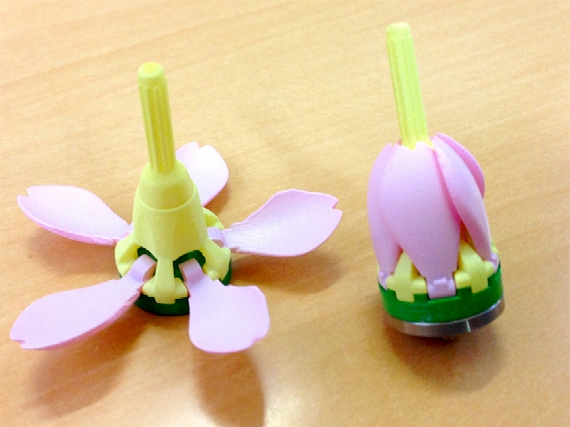 サクラコマ