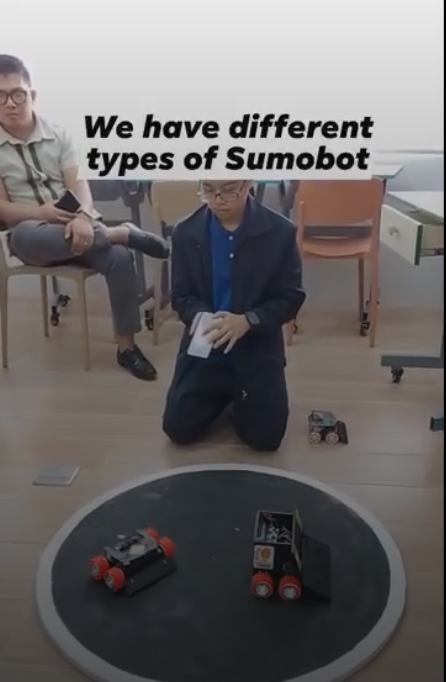 Types of Sumobot