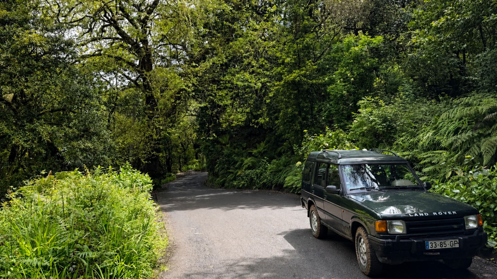 Land Rover on a Madeira scenic route