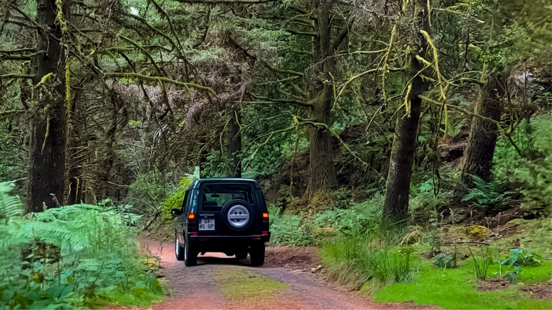 Off-road trail in Ribeiro Frio