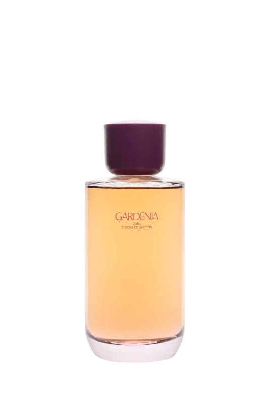 GARDENIA EDP 180ML / 6.08 oz 2