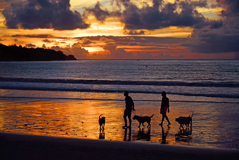 New Traveler Trends in 2026: From Hidden Gems to High-Tech Solutions