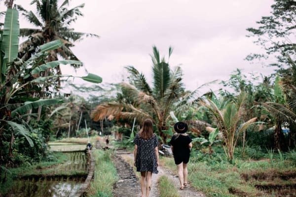 Complete Guide to Planning Your Bali Trip: Itinerary, Tips & Transport