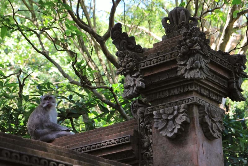 Planning Your Visit to Alas Kedaton
