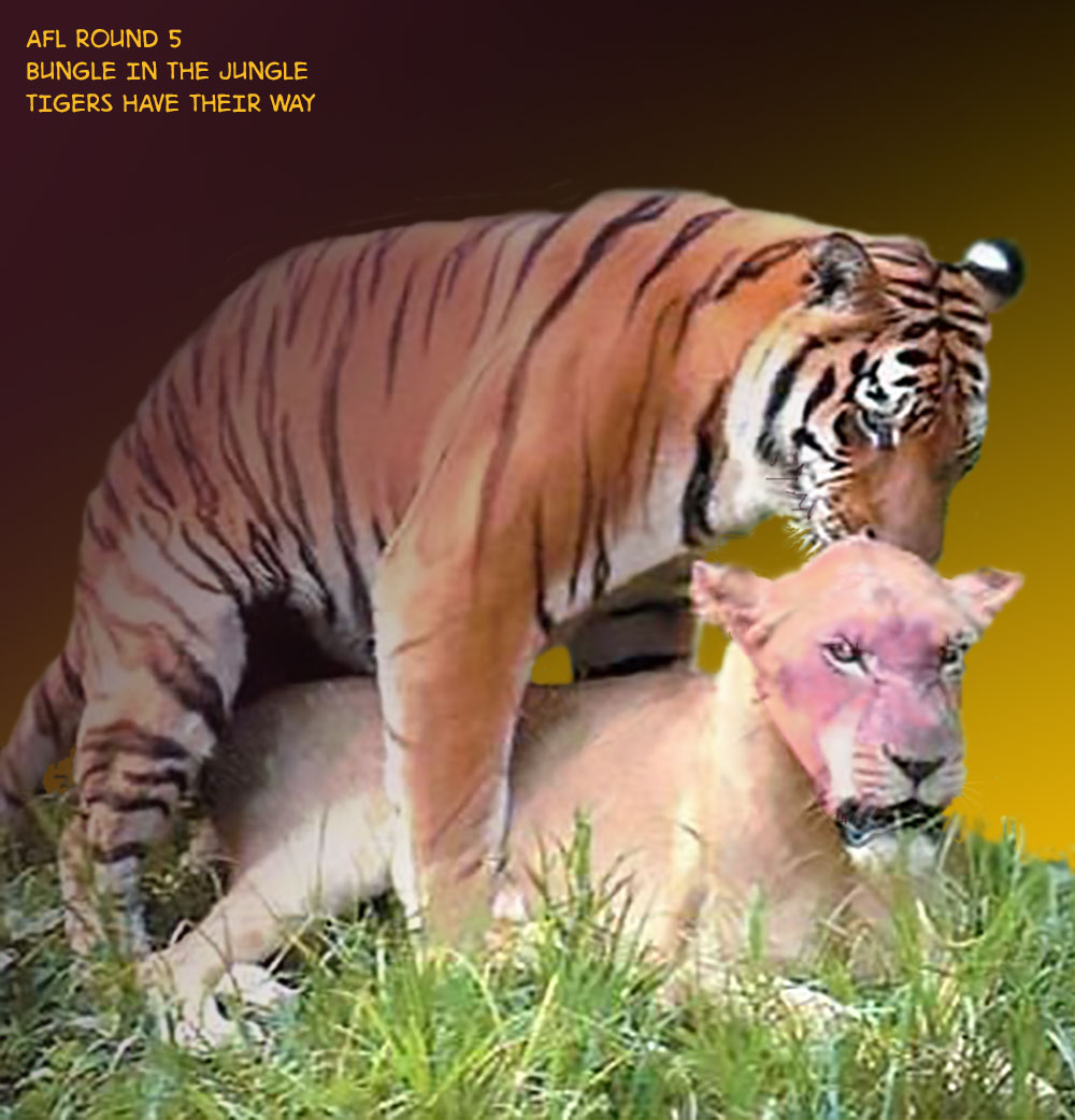 Junglebungle