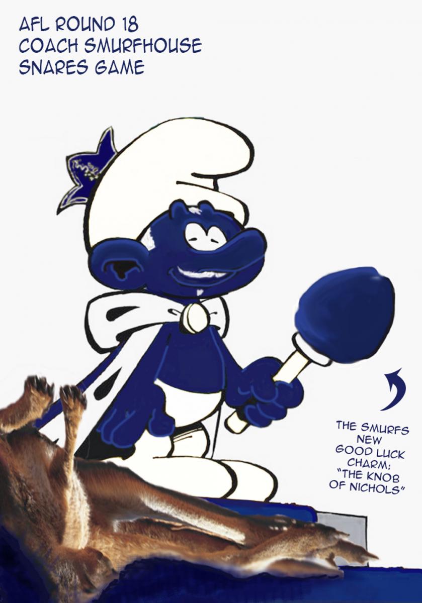 Coach Smurfhouse