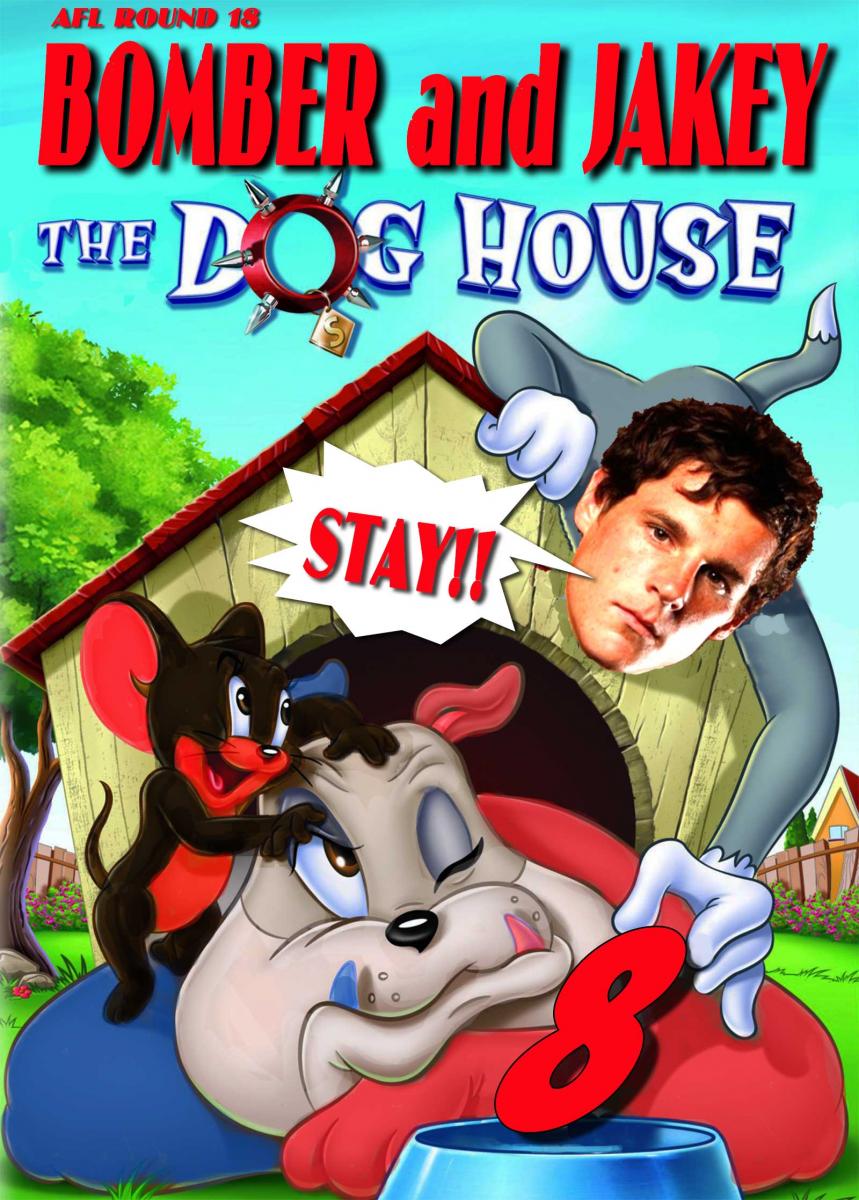 Dog House