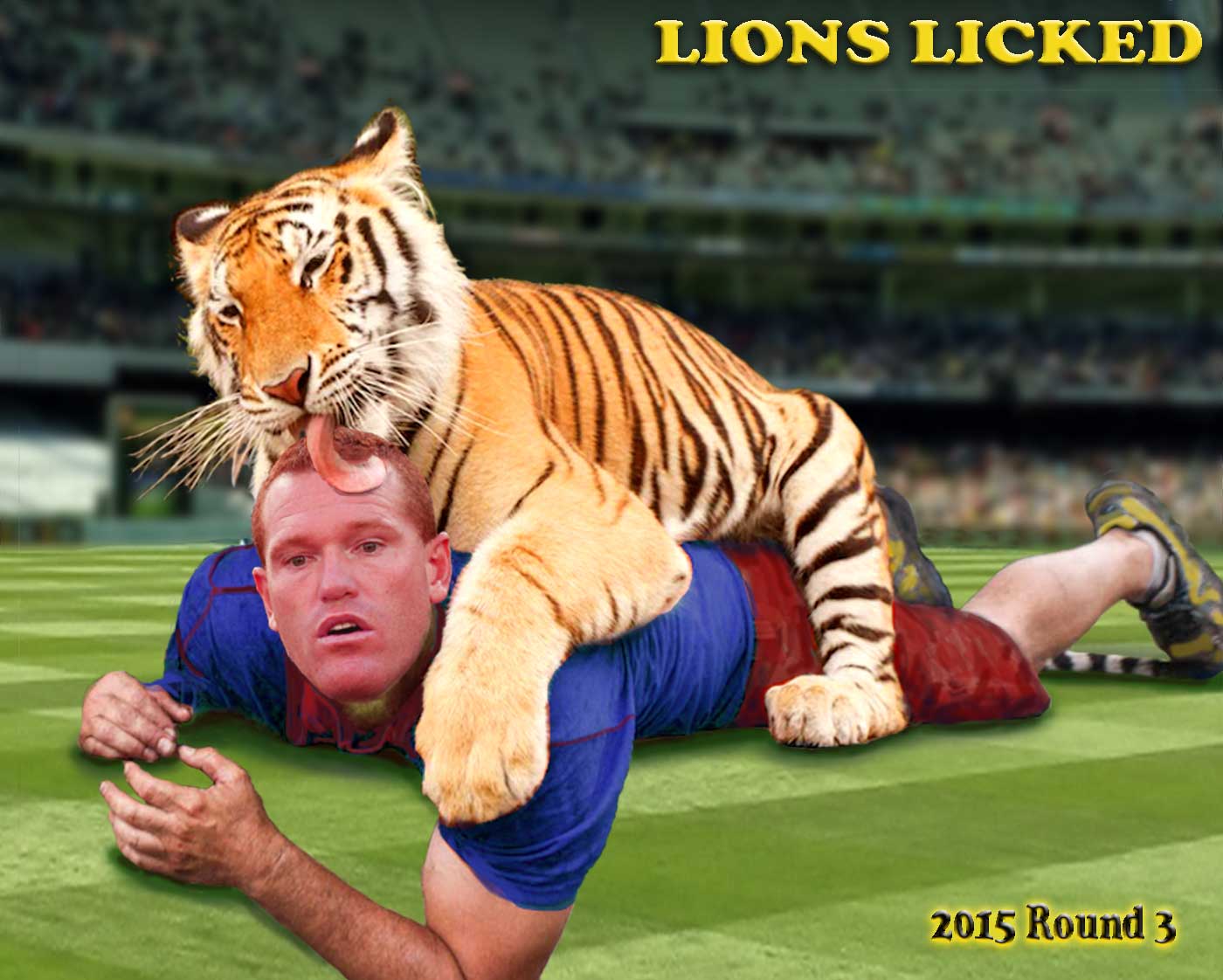 Lions Licked