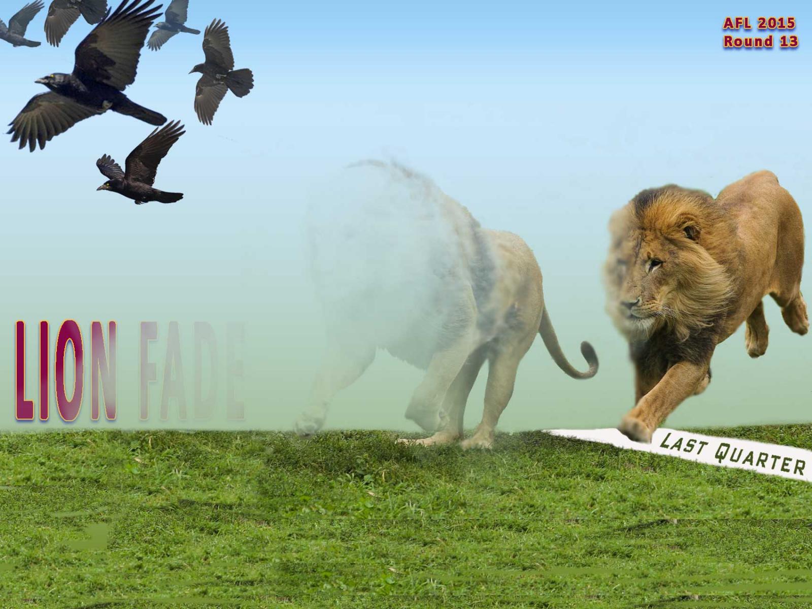Lion Fade