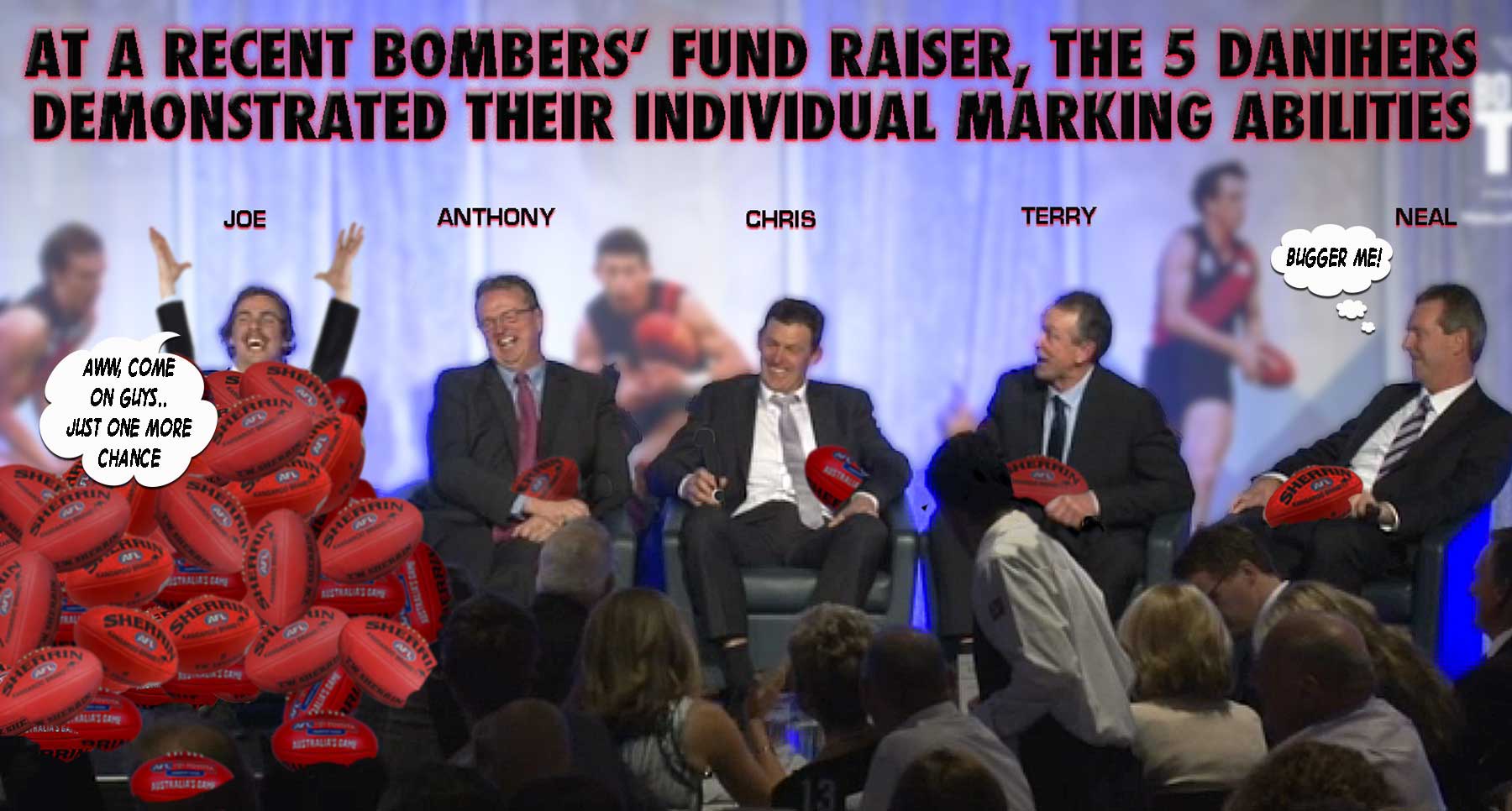 Z Bombers Danihers