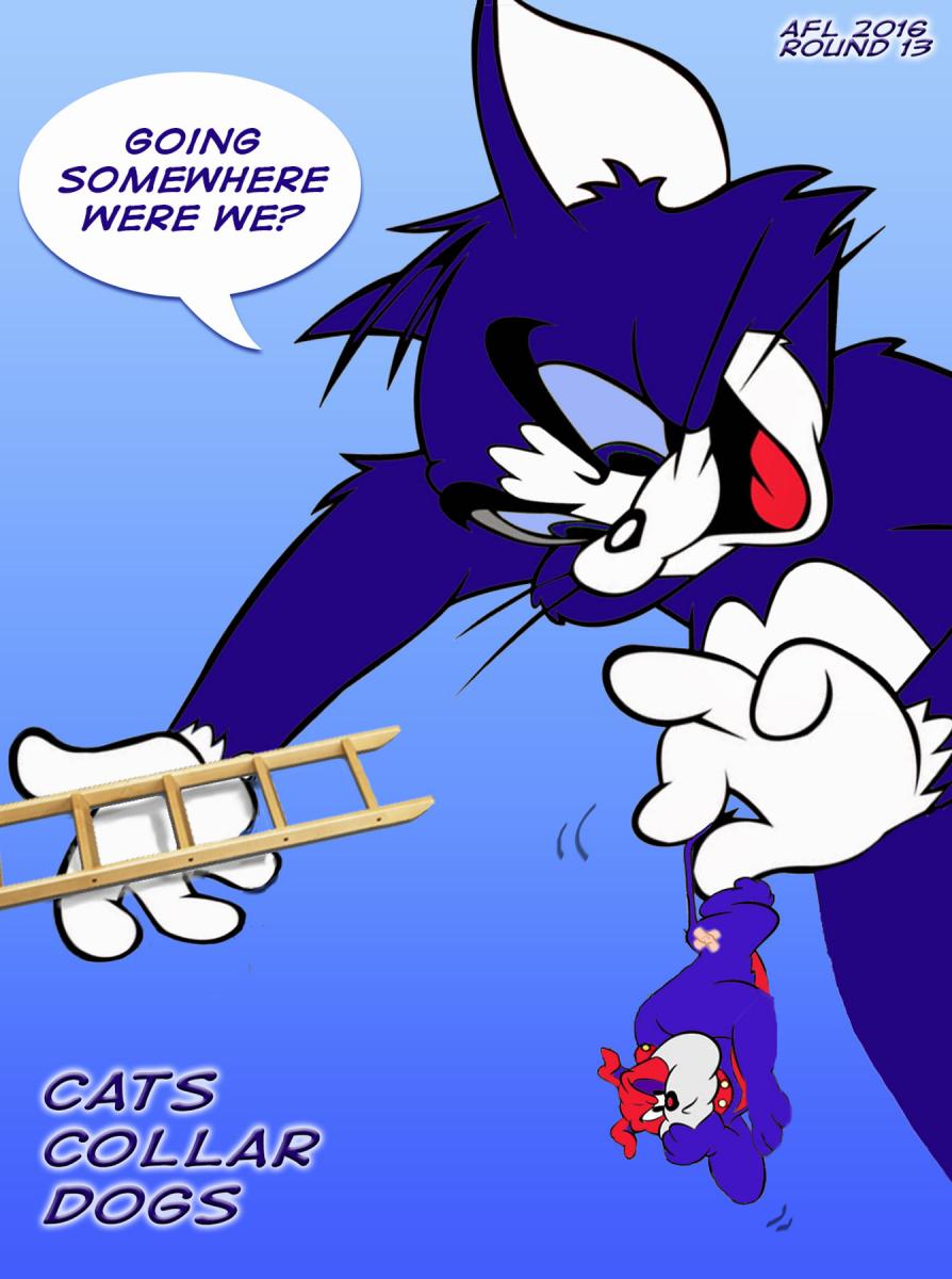 Cats Collar Dogs