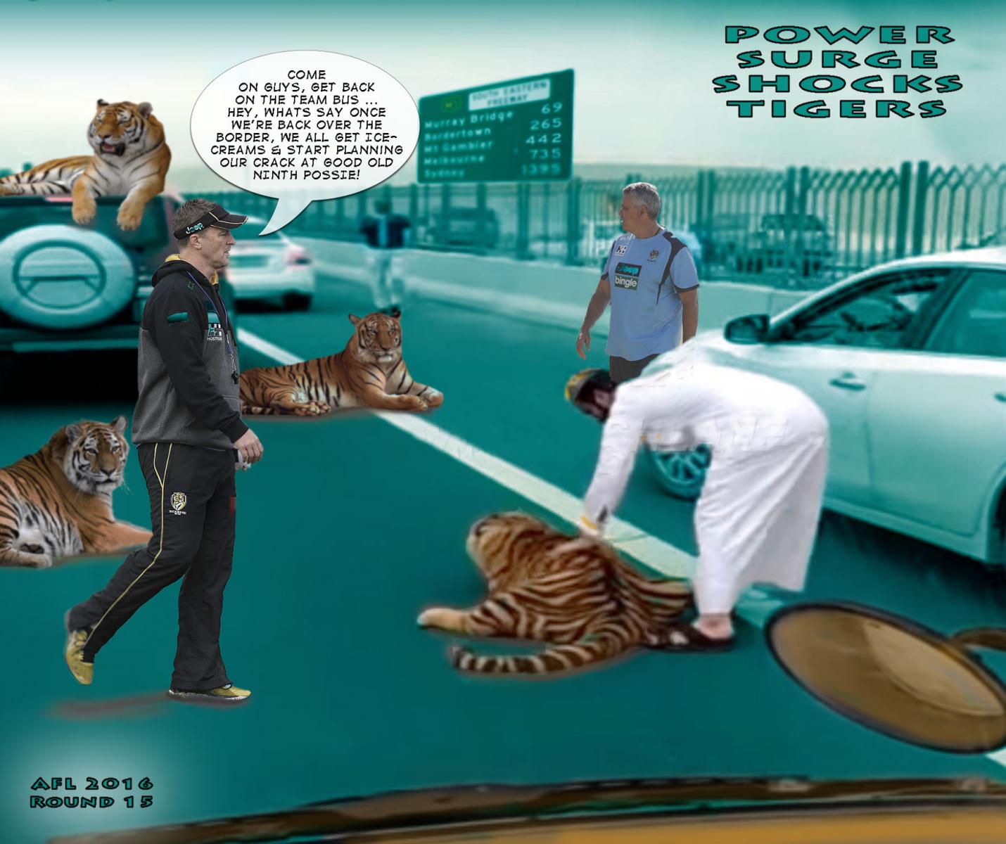 Tiger Power