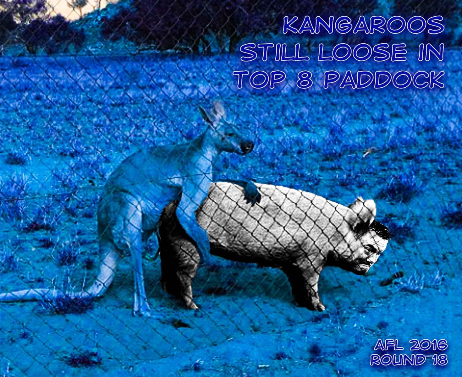 Top Paddock