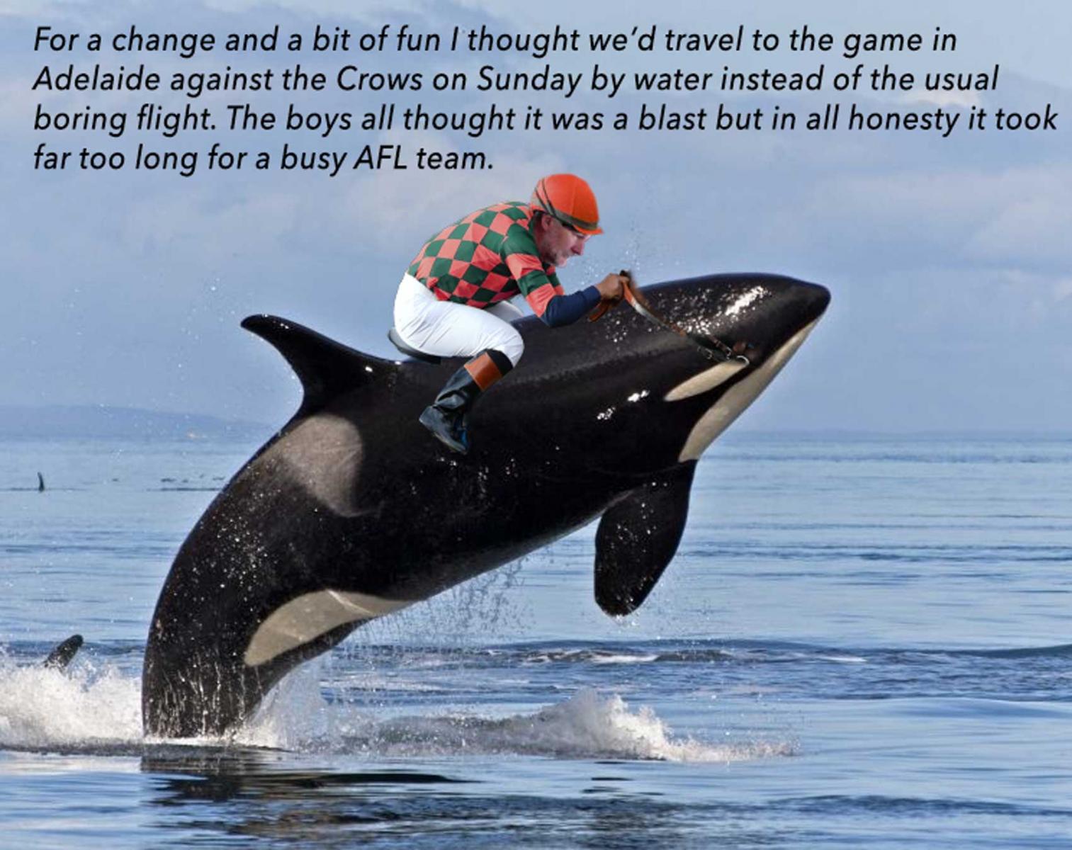 Via Killer Whale