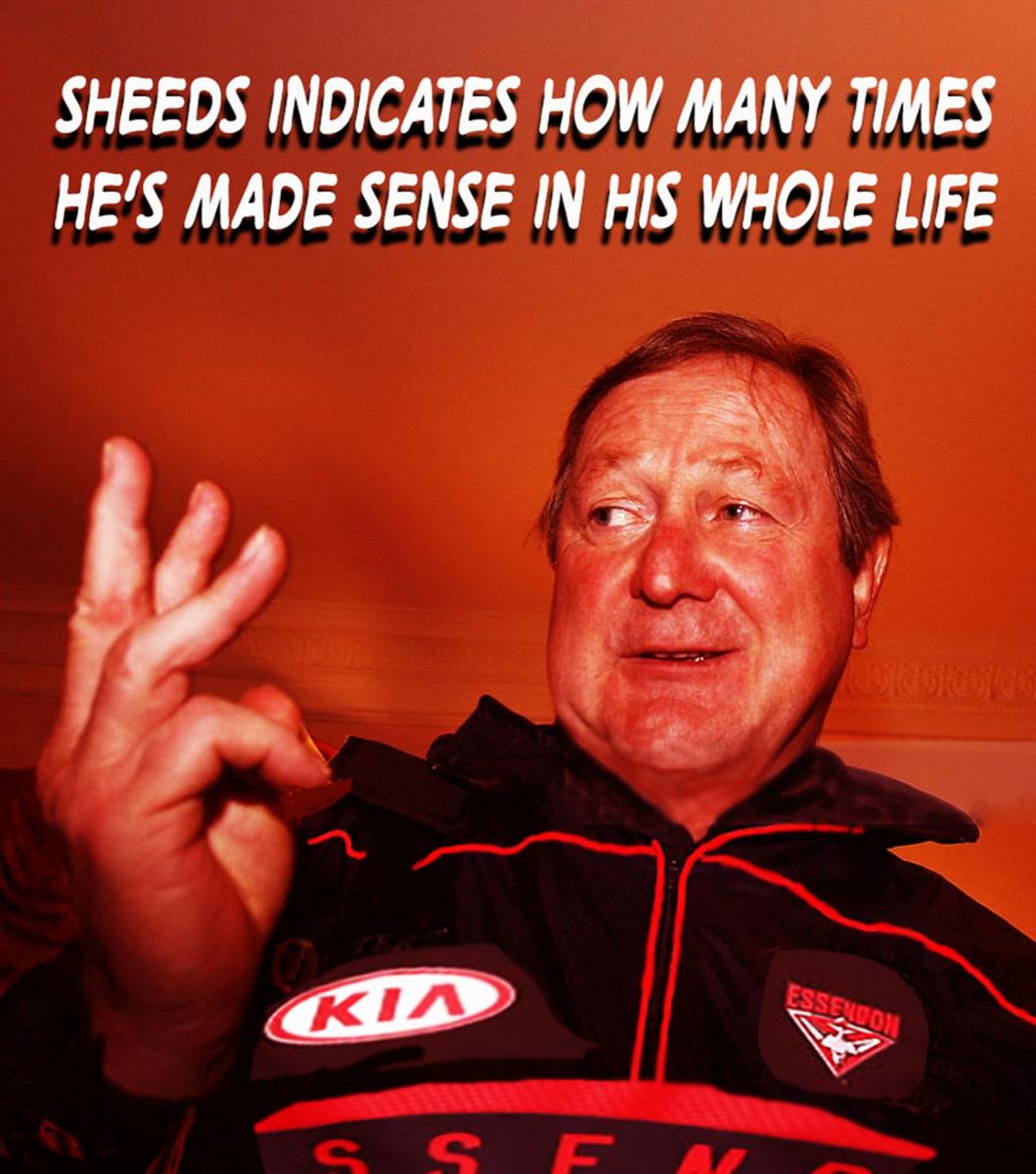 X Sheeds 01