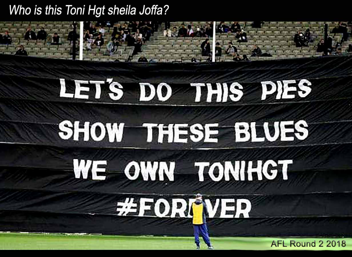 Pies Banner