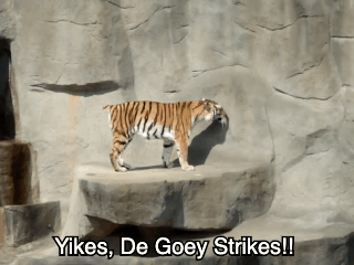 De Goey Strikes