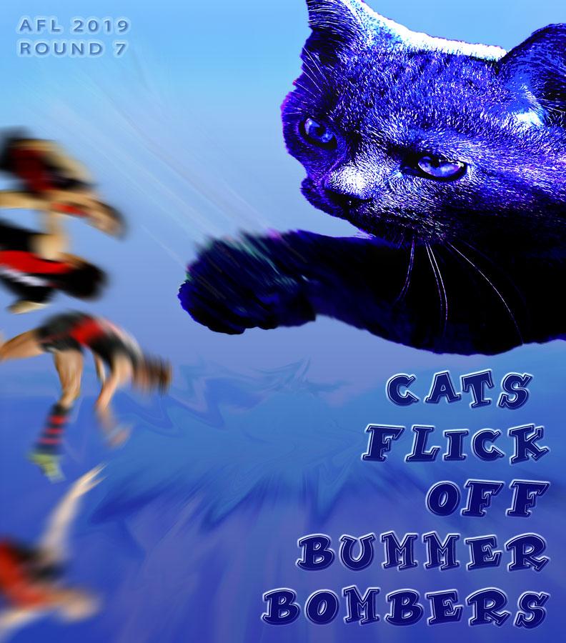 Cat Attack