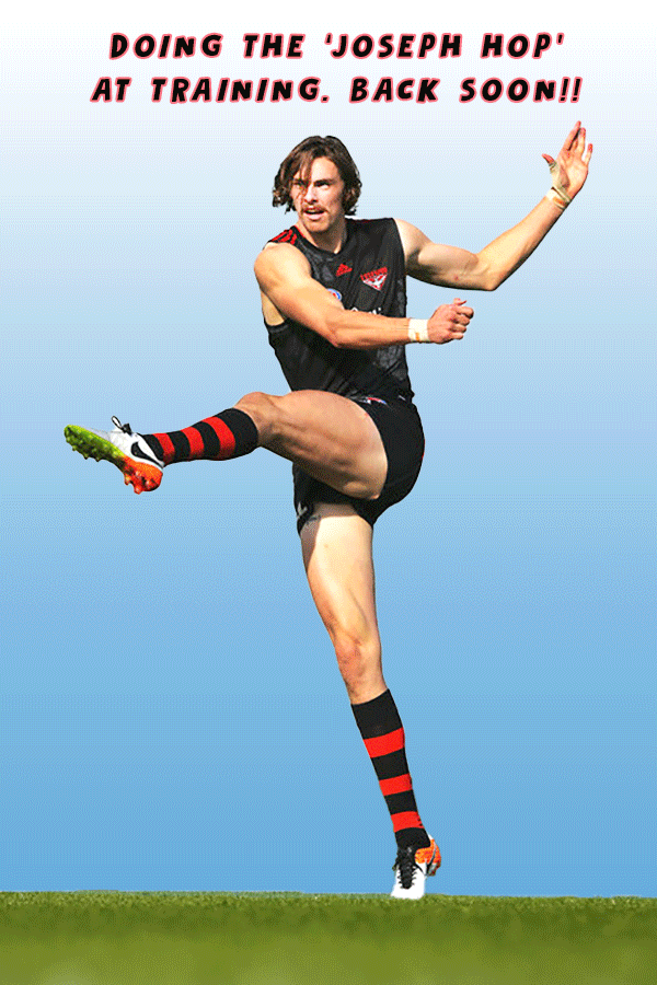 Joey Hop