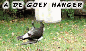 Xde Goey Hanger