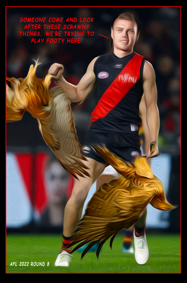 RD08 Wright Is Might