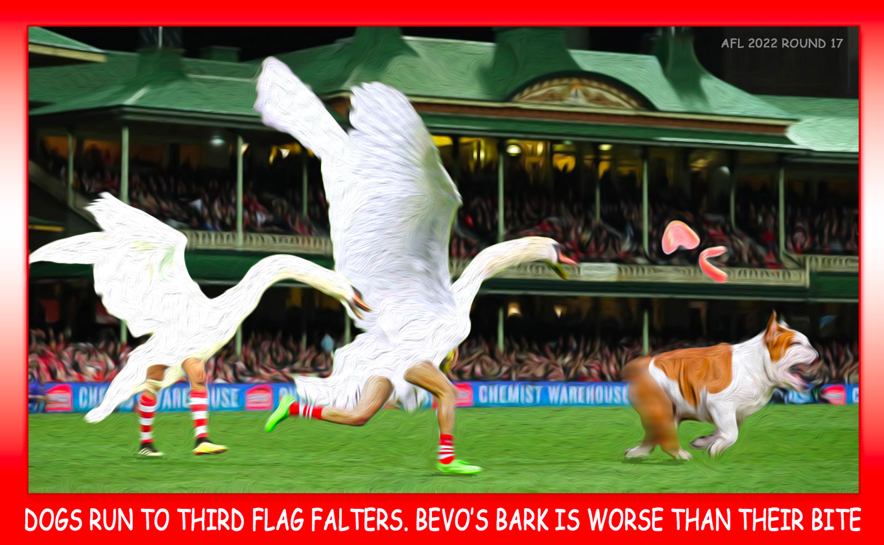 RD17 Dogs Bite