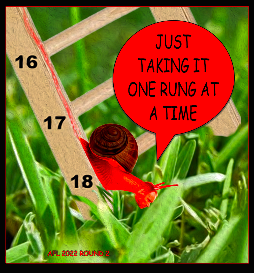 RD02 One Rung At A Time