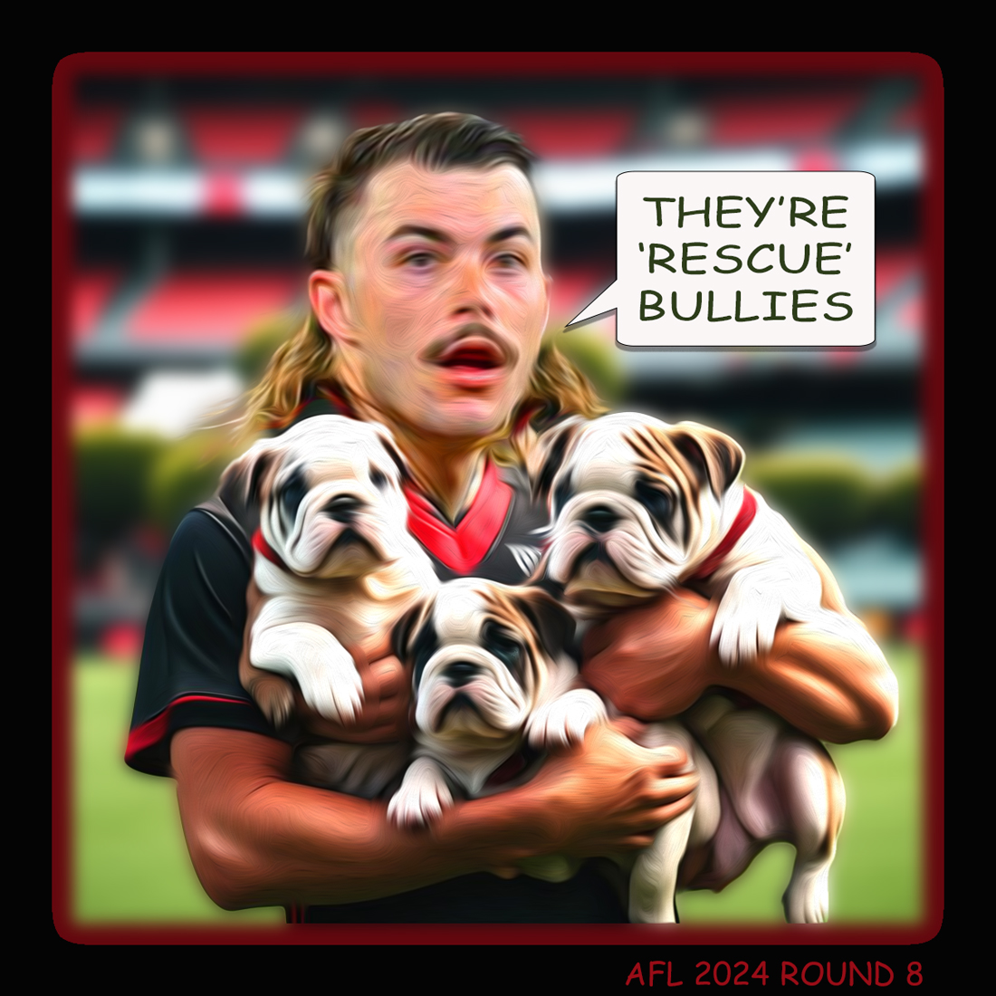 RD08 Rescue Bullies