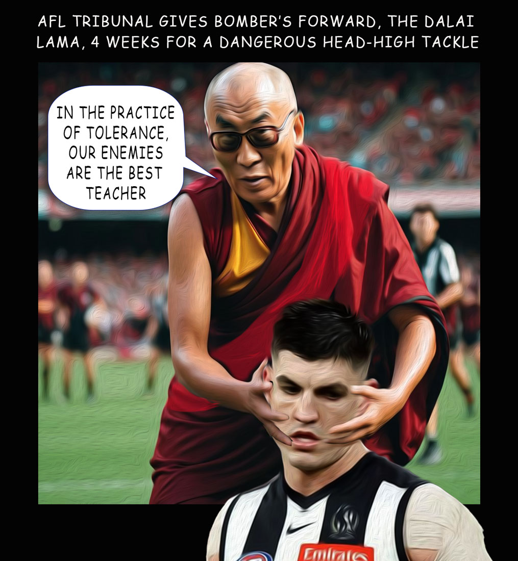 Rd17 Dalai Head High