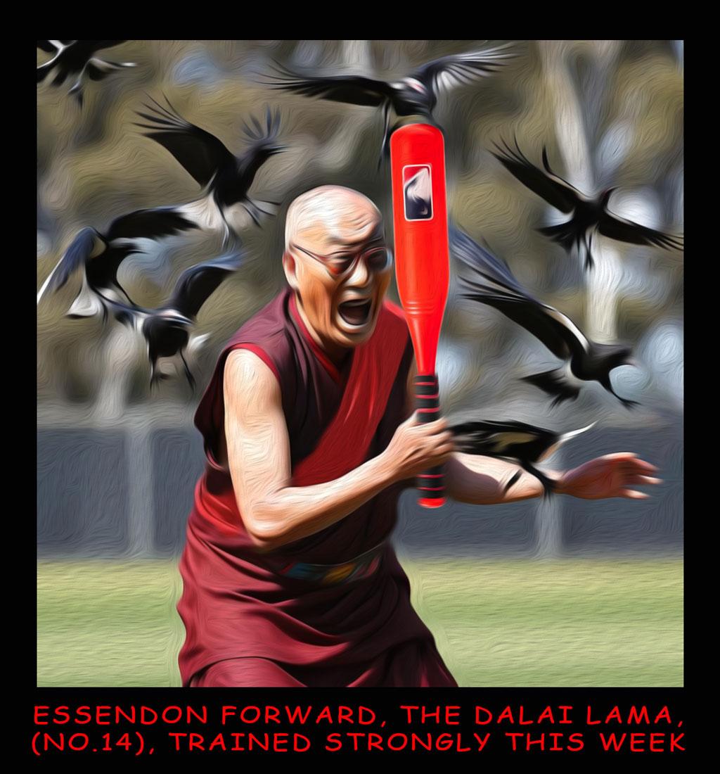 Rd17 Dalai Training