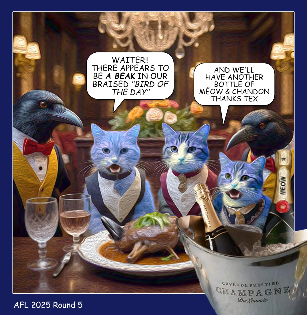 Rd05 Cats Comeback