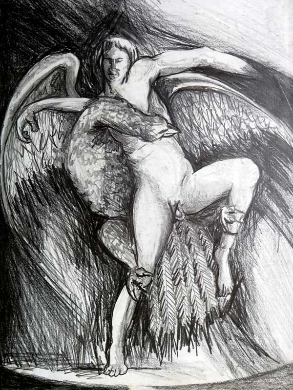 Ledo and Swan
